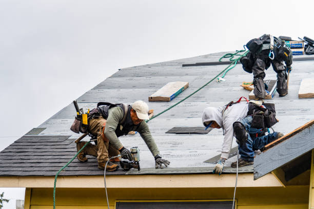 Professional Gutter Installation technician working in Viola, DE